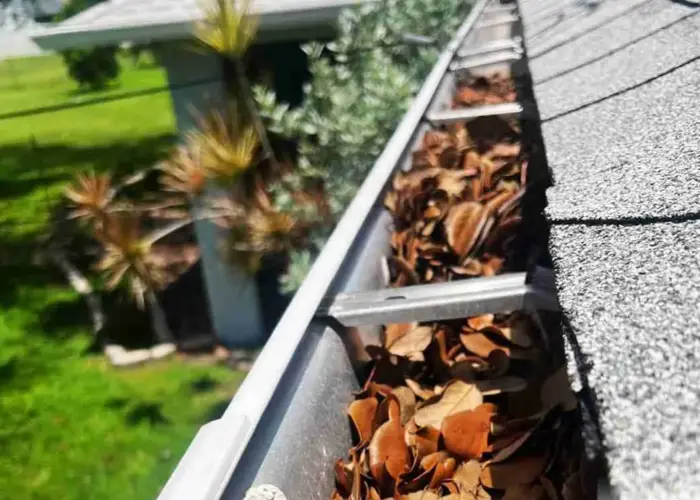 Lenexa gutter cleaning home page